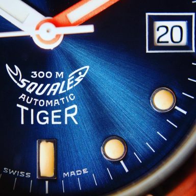 Squale sun ray Tiger dial